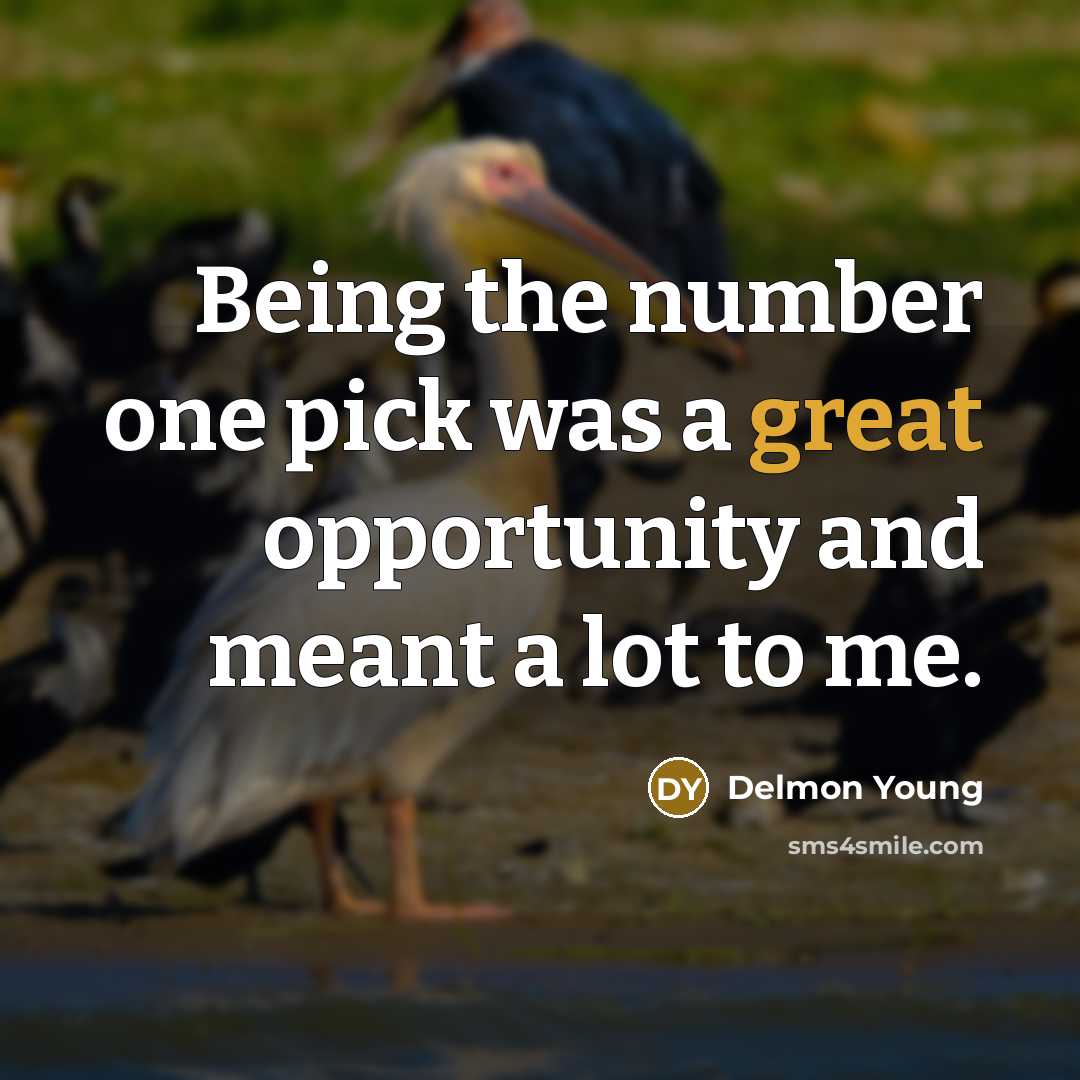 “Being the number one pick was a great opportunity and…” quote by Delmon Young