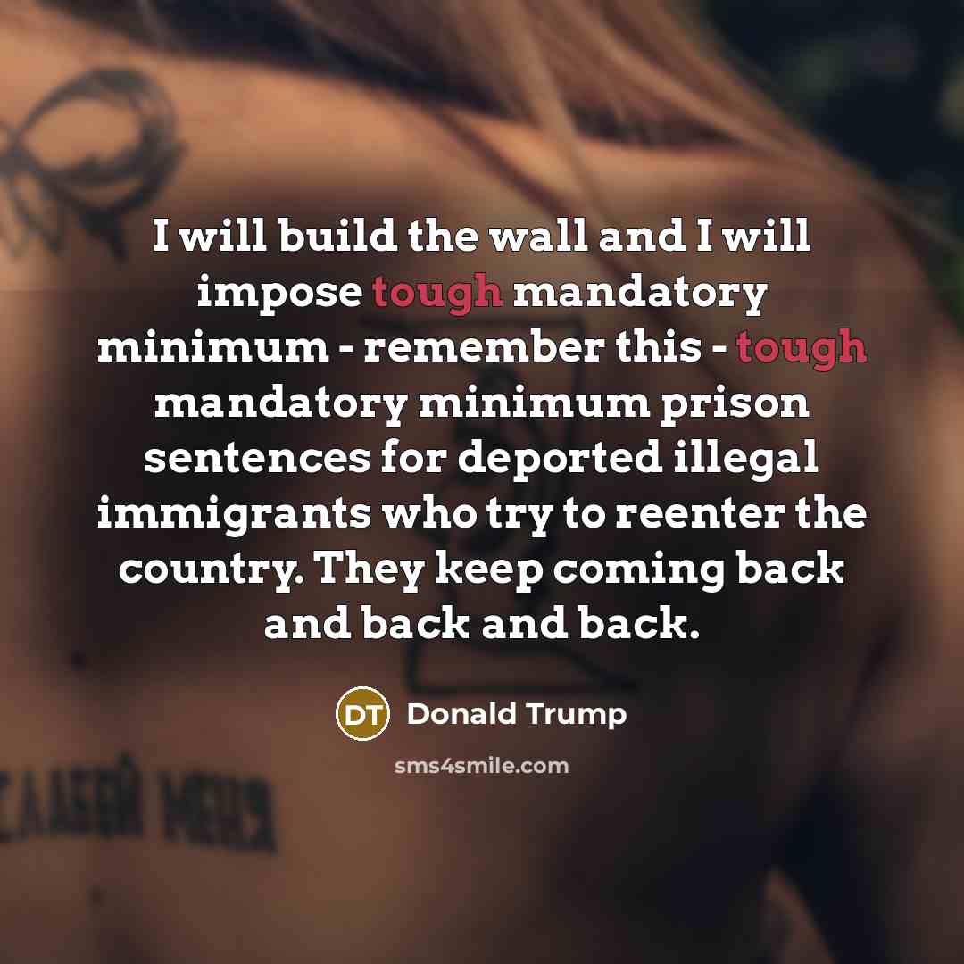 “I will build the wall and I will impose tough…” quote by Donald Trump