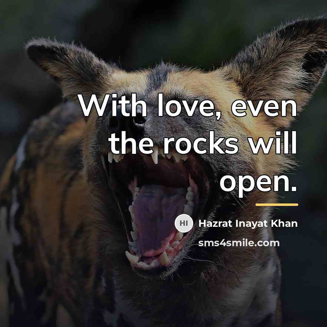 “With love, even the rocks will open.…” quote by Hazrat Inayat Khan