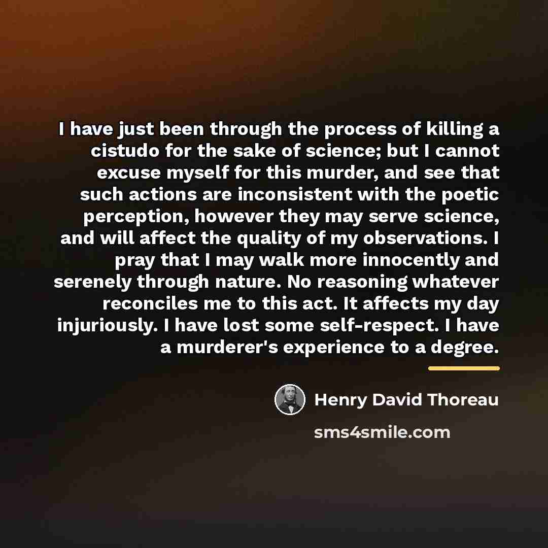 “I have just been through the process of killing a…” quote by Henry David Thoreau