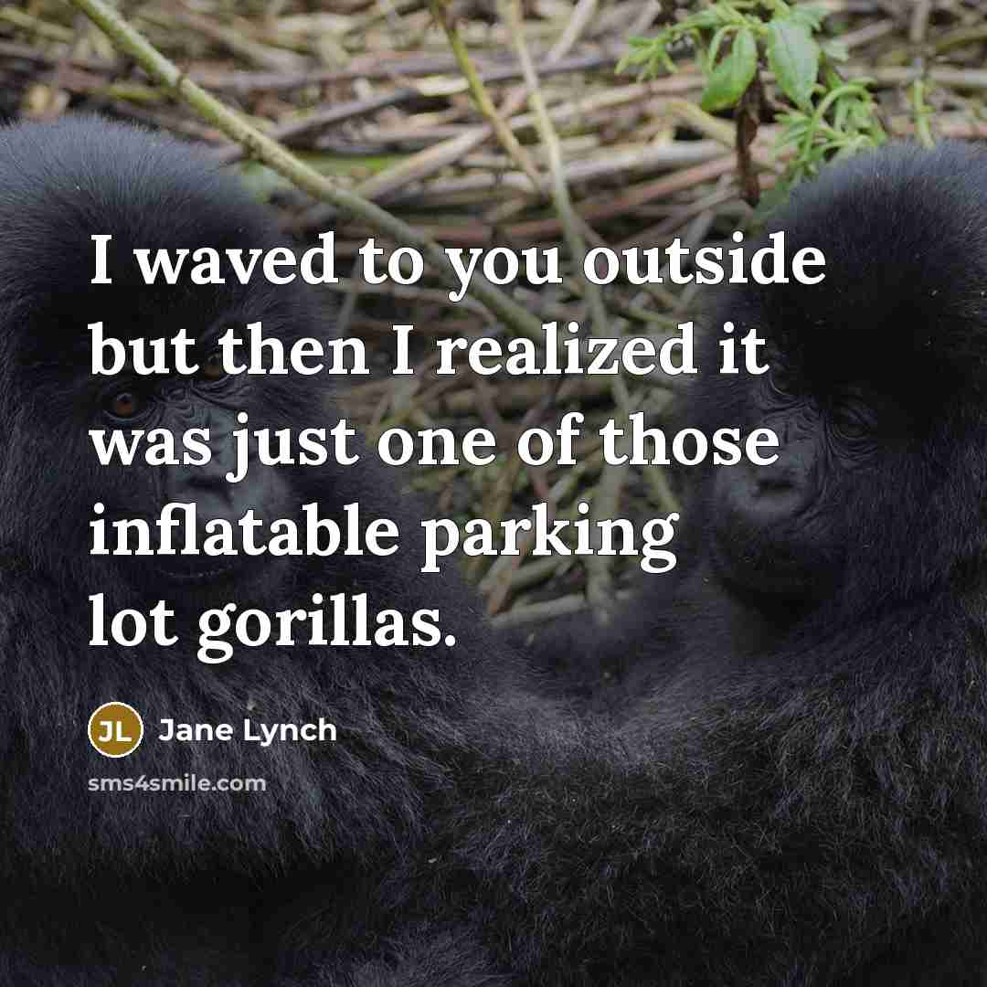 “I waved to you outside but then I realized it…” quote by Jane Lynch