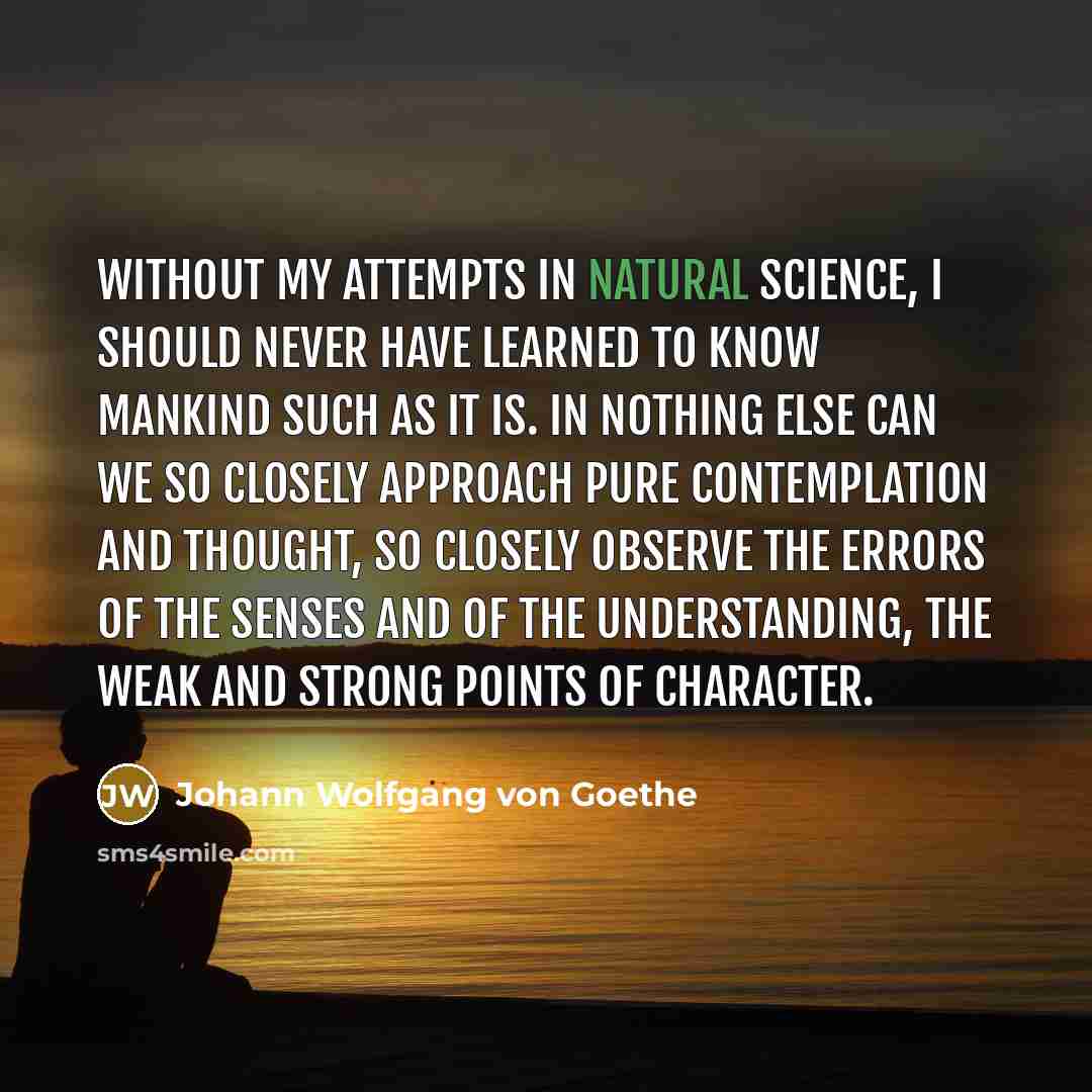 “Without my attempts in natural science, I should never have…” quote by Johann Wolfgang von Goethe