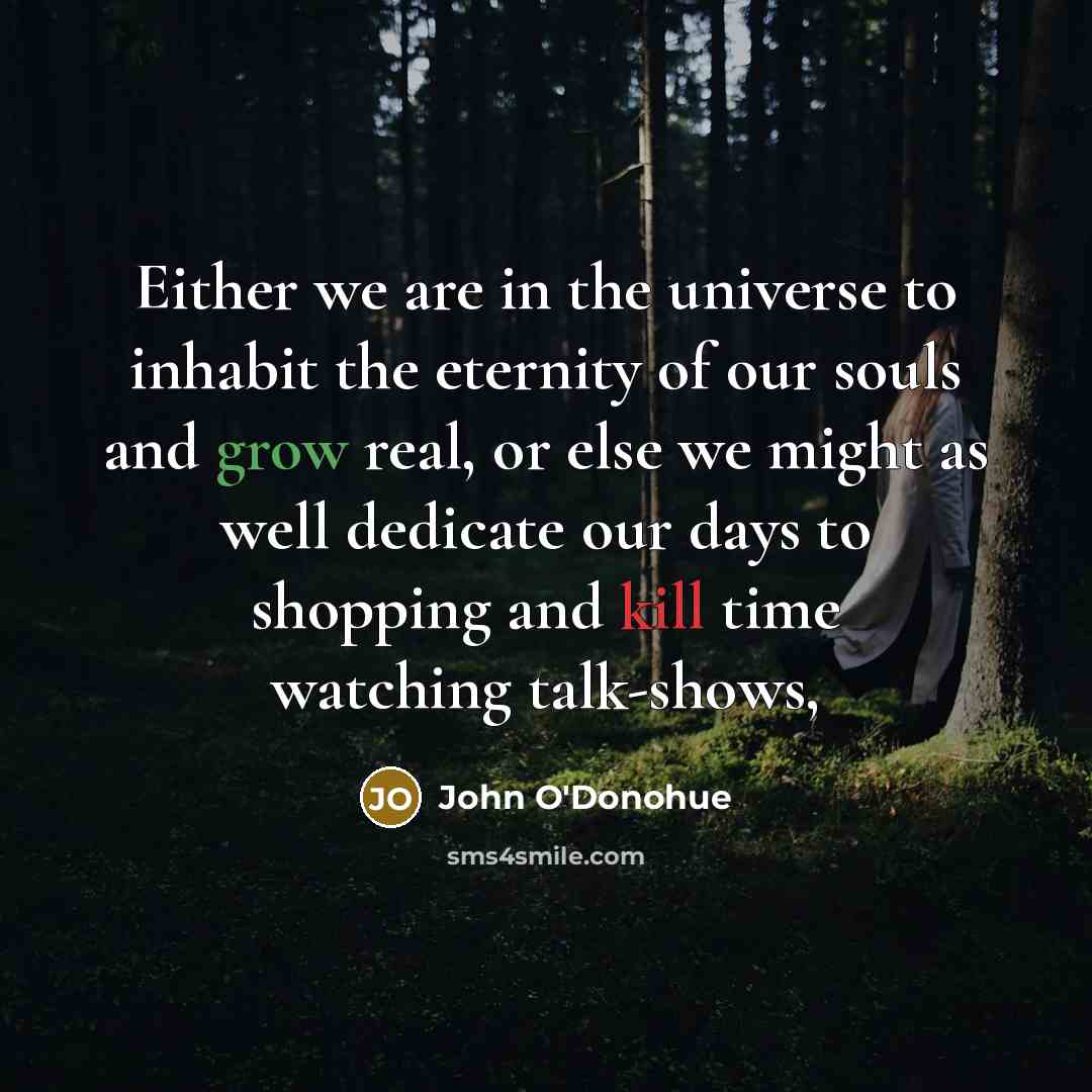 “Either we are in the universe to inhabit the eternity…” quote by John O'Donohue