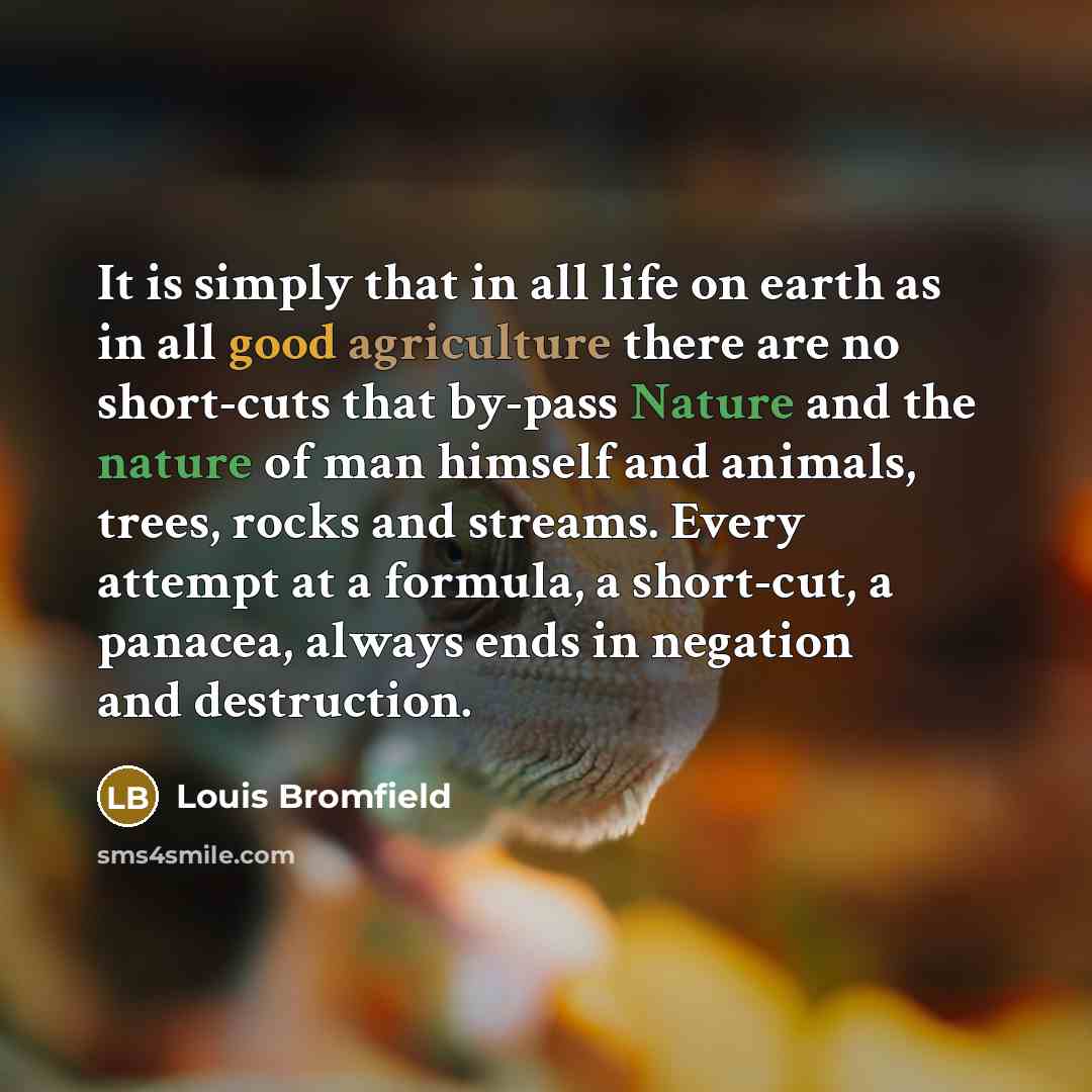 “It is simply that in all life on earth as…” quote by Louis Bromfield