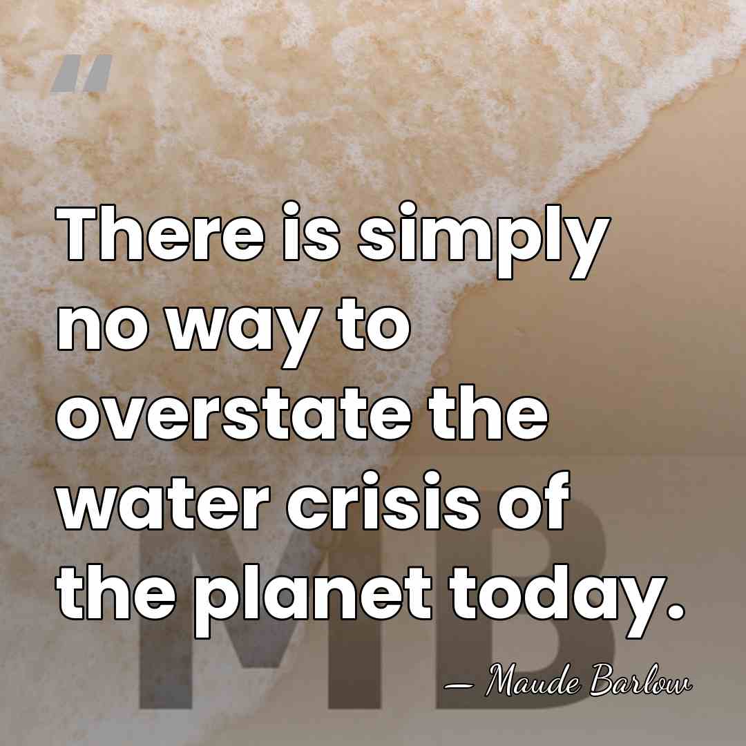 There is simply no way to overstate the water crisis of the&hellip; - Maude Barlow