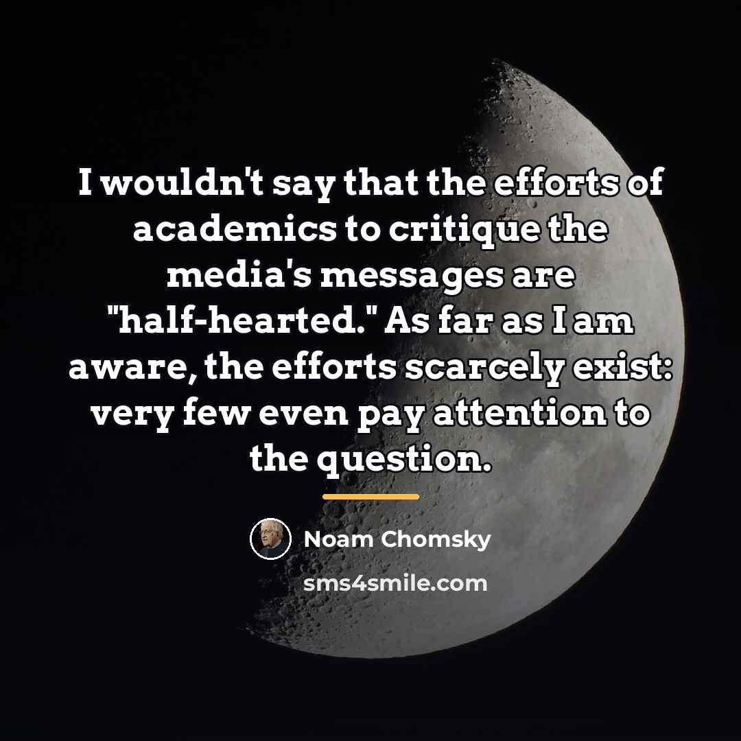 “I wouldn't say that the efforts of academics to critique…” quote by Noam Chomsky