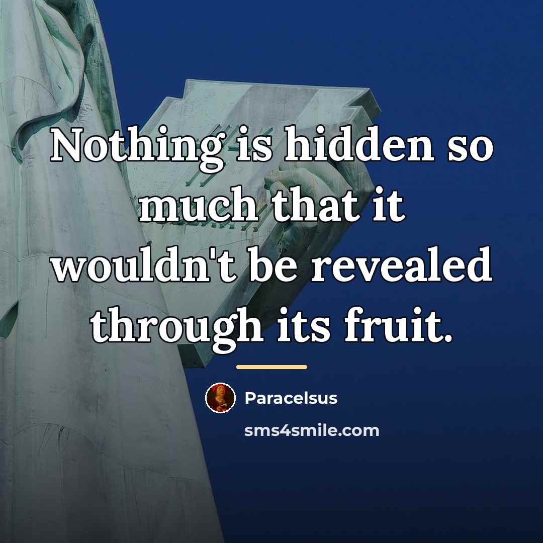 “Nothing is hidden so much that it wouldn't be revealed…” quote by Paracelsus