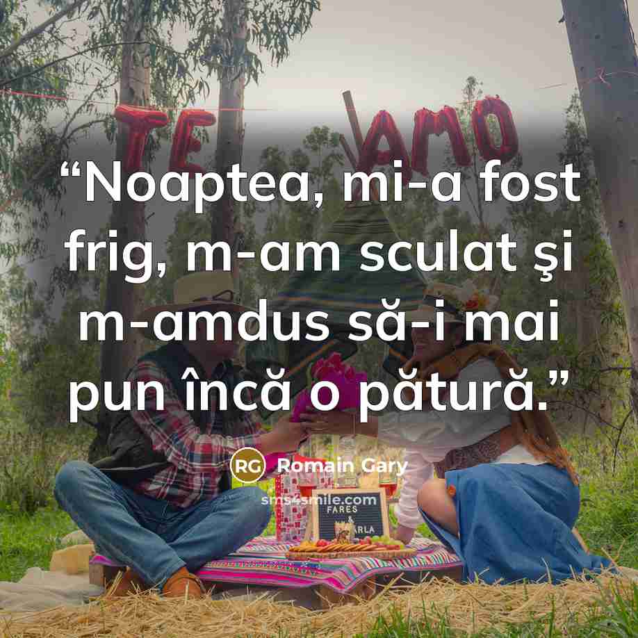 “Noaptea, mi-a fost frig, m-am sculat şi m-amdus să-i mai pun încă o pătură.” quote by Romain Gary