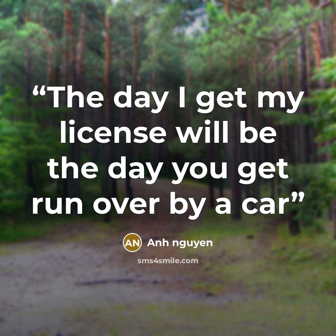“The day I get my license will be the day you get run over by a car” quote by Anh nguyen