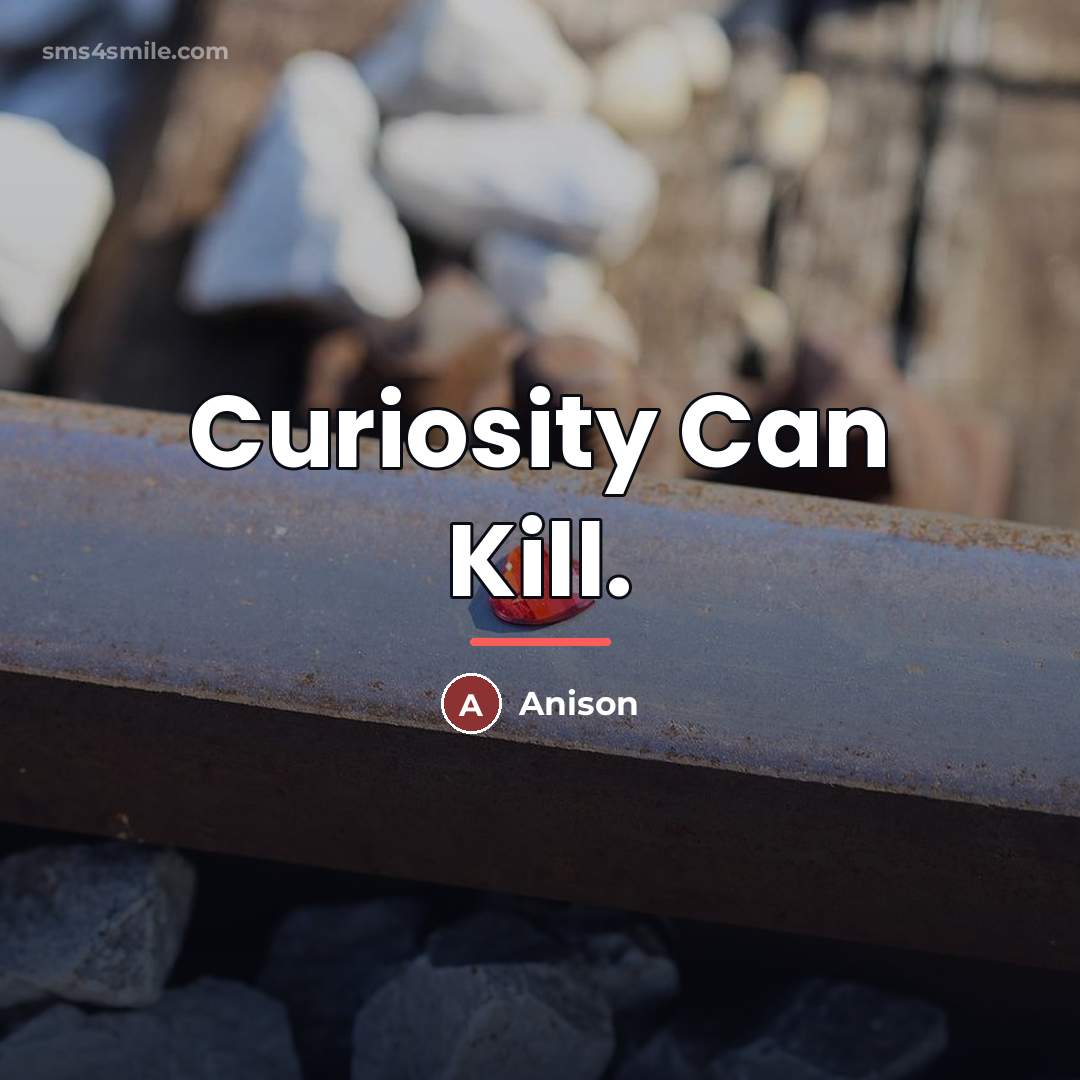 “Curiosity Can Kill.…” quote by Anison