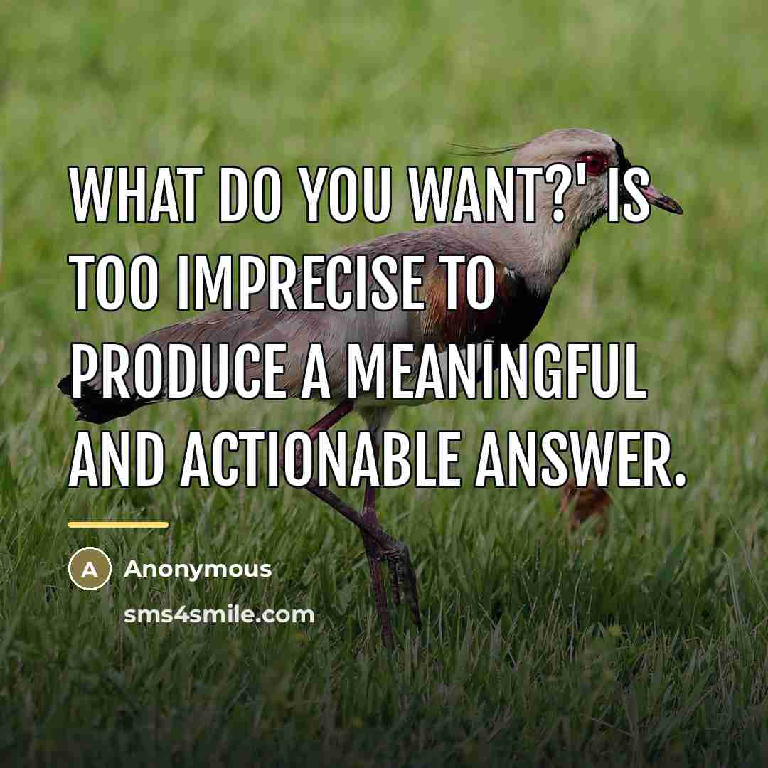 “What do you want?' is too imprecise to produce a…” quote by Anonymous