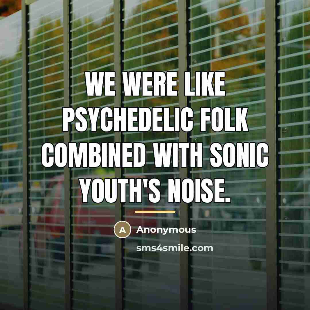 “We were like psychedelic folk combined with Sonic Youth's noise.…” quote by Anonymous
