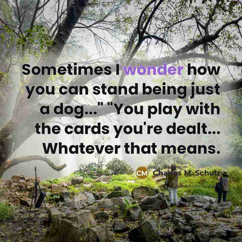 “Sometimes I wonder how you can stand being just a…” quote by Charles M. Schulz