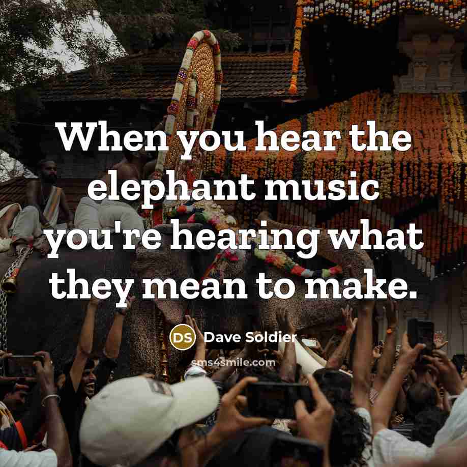 “When you hear the elephant music you're hearing what they…” quote by Dave Soldier