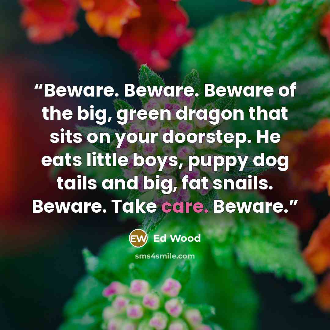 “Beware. Beware. Beware of the big, green dragon that sits on your doorstep. He eats little boys, puppy dog tails and big, fat snails. Beware. Take care. Beware.” quote by Ed Wood