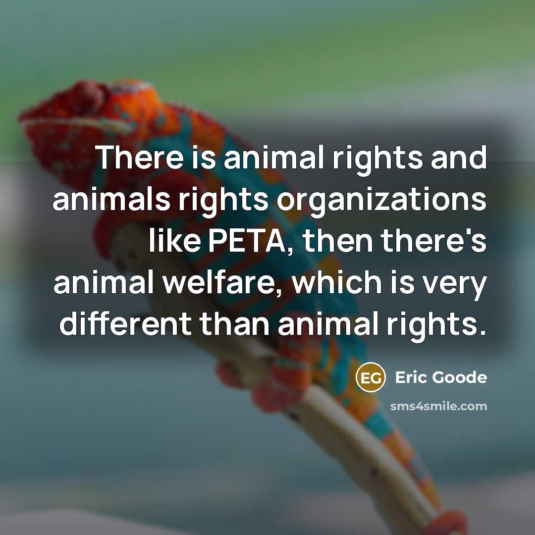 “There is animal rights and animals rights organizations like PETA,…” quote by Eric Goode