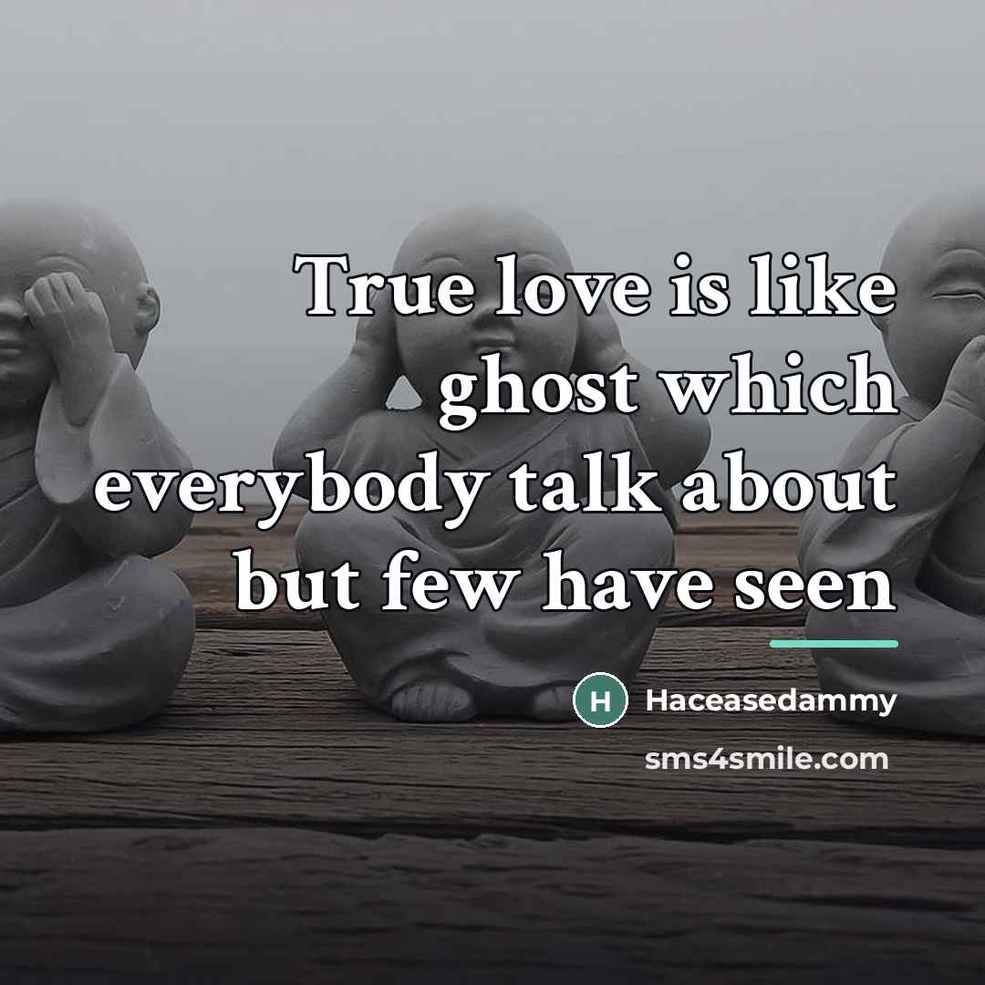 “True love is like ghost which everybody talk about but…” quote by Haceasedammy