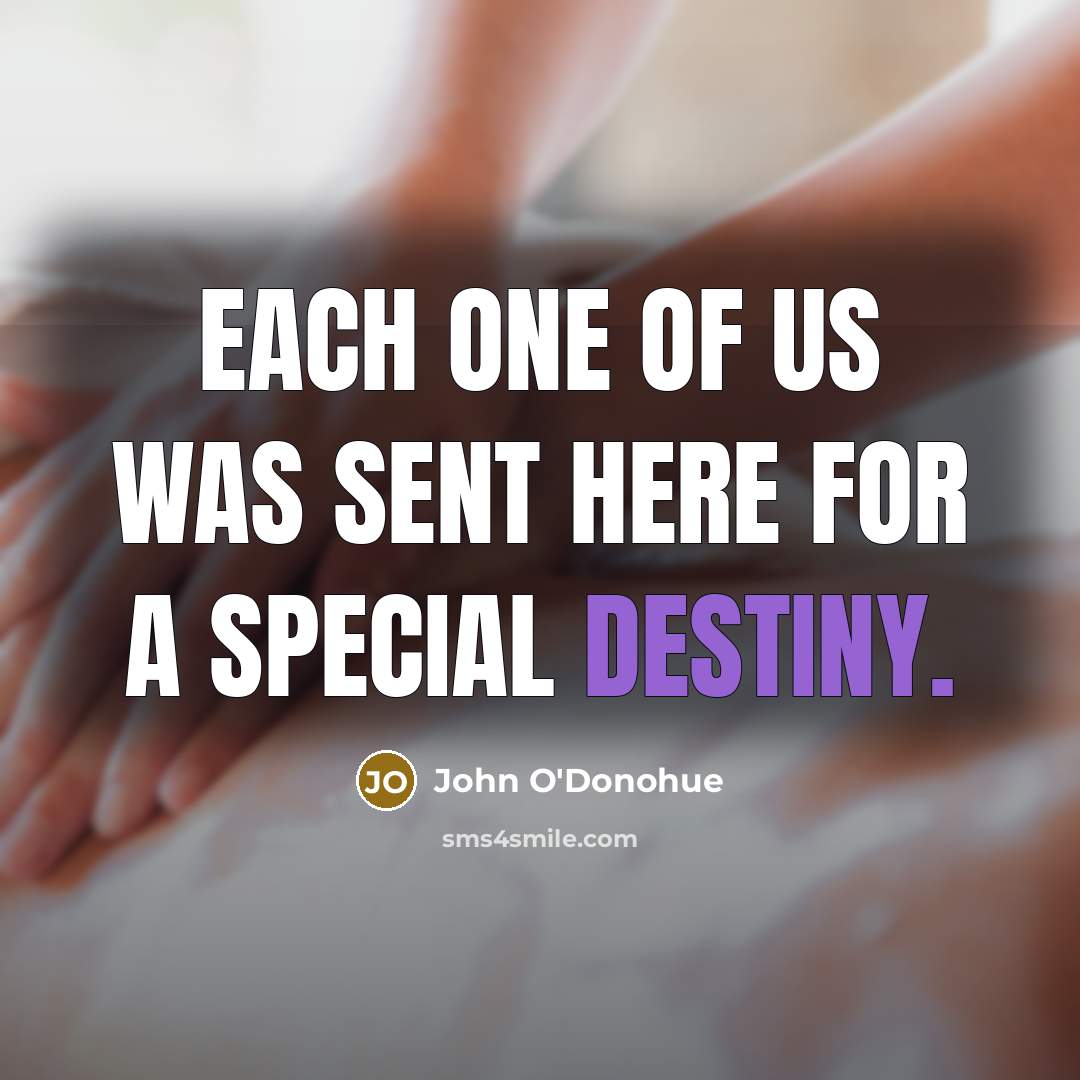 “Each one of us was sent here for a special…” quote by John O'Donohue