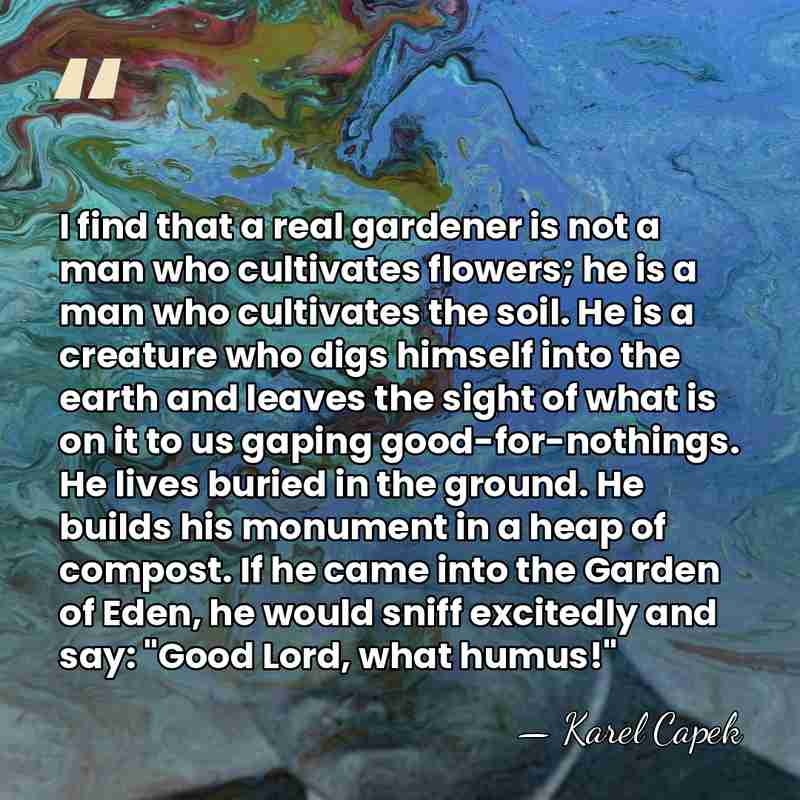 I find that a real gardener is not a man who cultivates&hellip; - Karel Capek