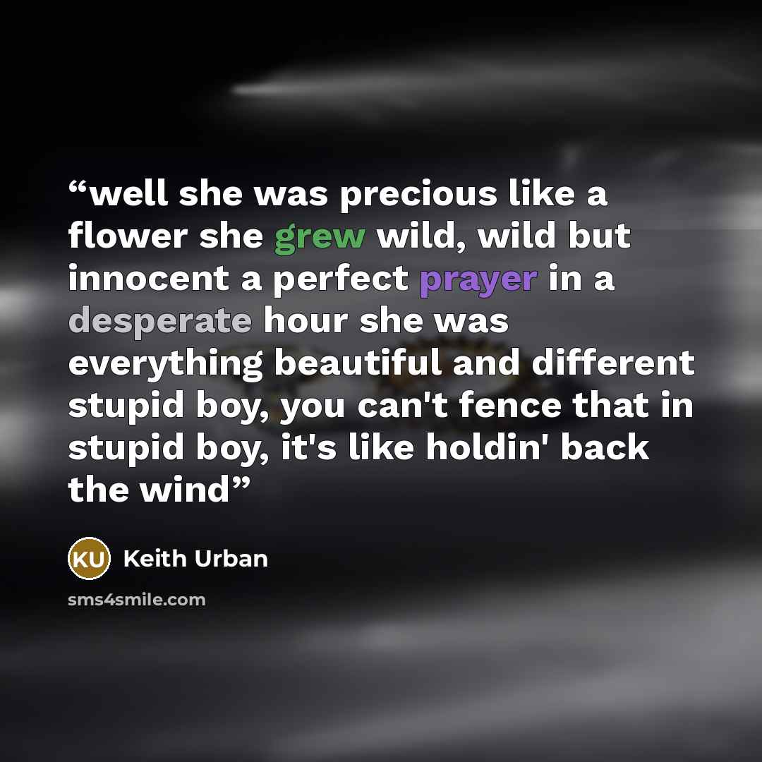 “well she was precious like a flower she grew wild, wild but innocent a perfect prayer in a desperate hour she was everything beautiful and different stupid boy, you can't fence that in stupid boy, it's like holdin' back the wind” quote by keith urban