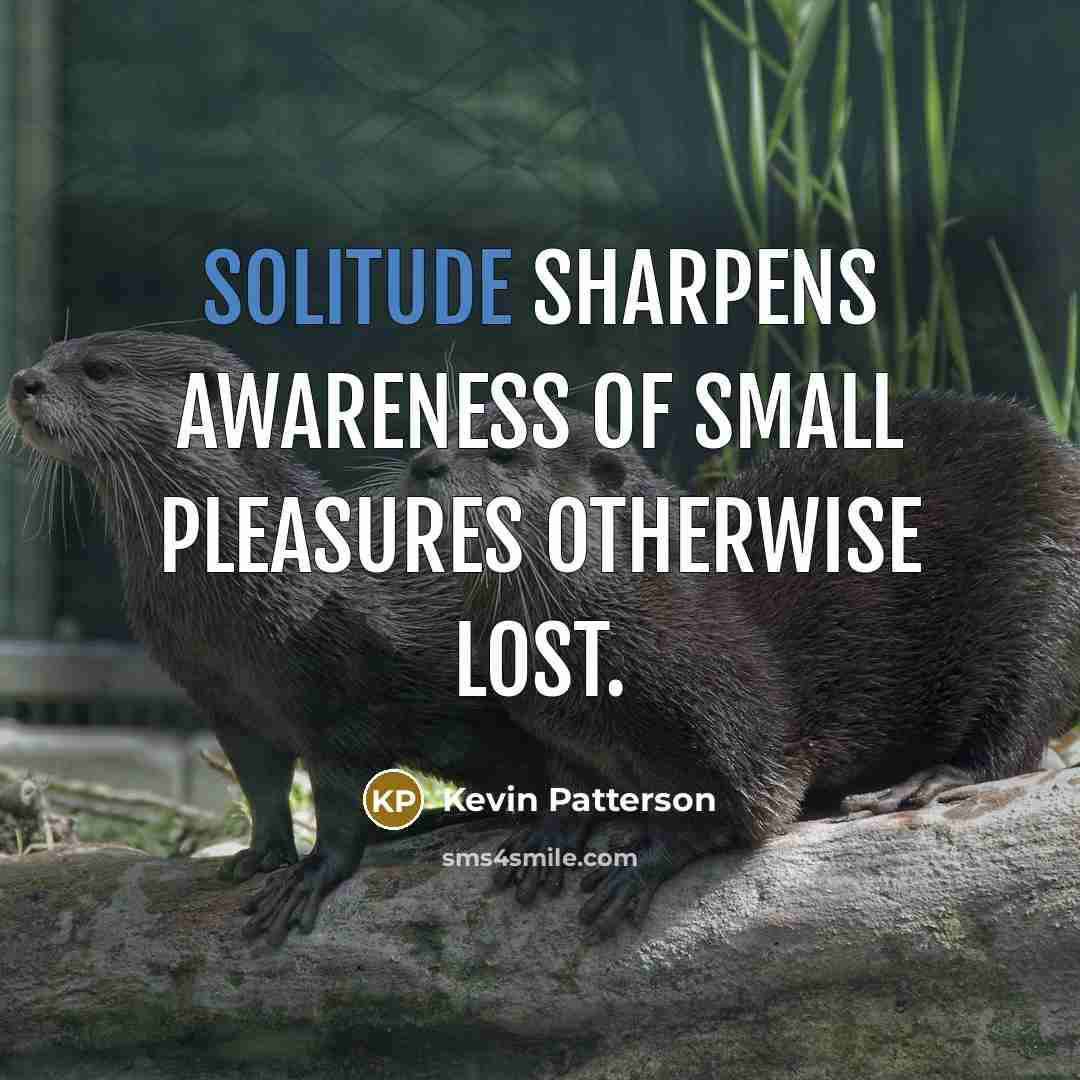 “Solitude sharpens awareness of small pleasures otherwise lost.…” quote by Kevin Patterson