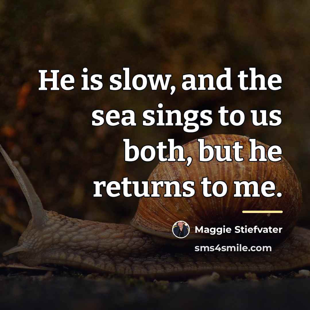 “He is slow, and the sea sings to us both,…” quote by Maggie Stiefvater