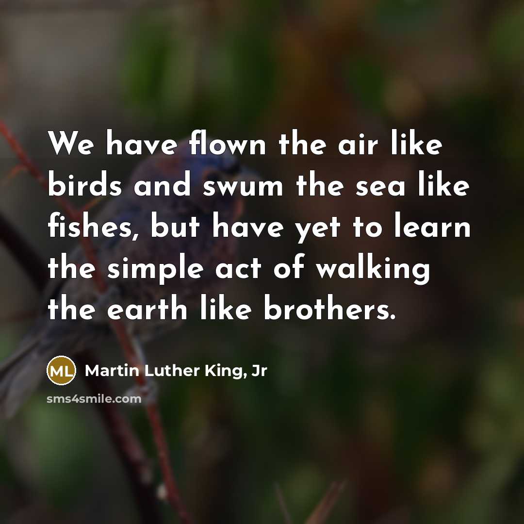 “We have flown the air like birds and swum the…” quote by Martin Luther King, Jr