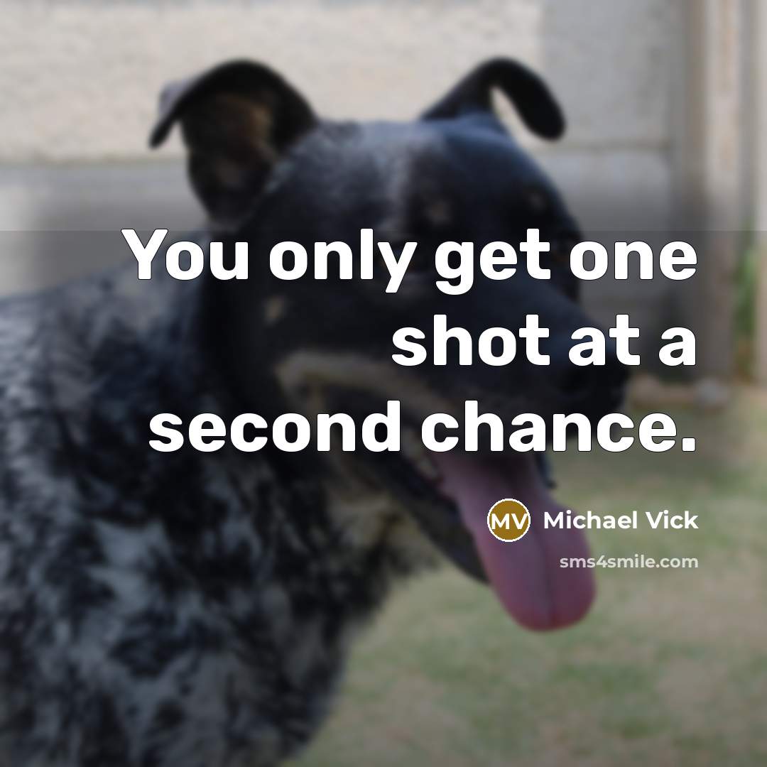“You only get one shot at a second chance.…” quote by Michael Vick