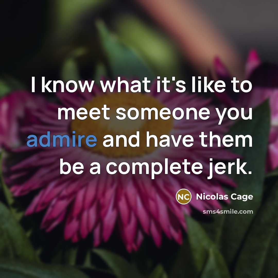 “I know what it's like to meet someone you admire…” quote by Nicolas Cage