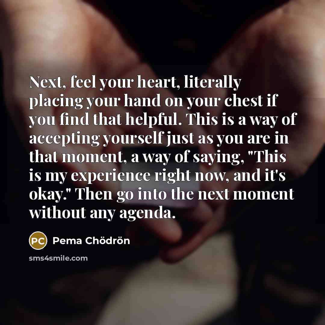 “Next, feel your heart, literally placing your hand on your…” quote by Pema Chodron