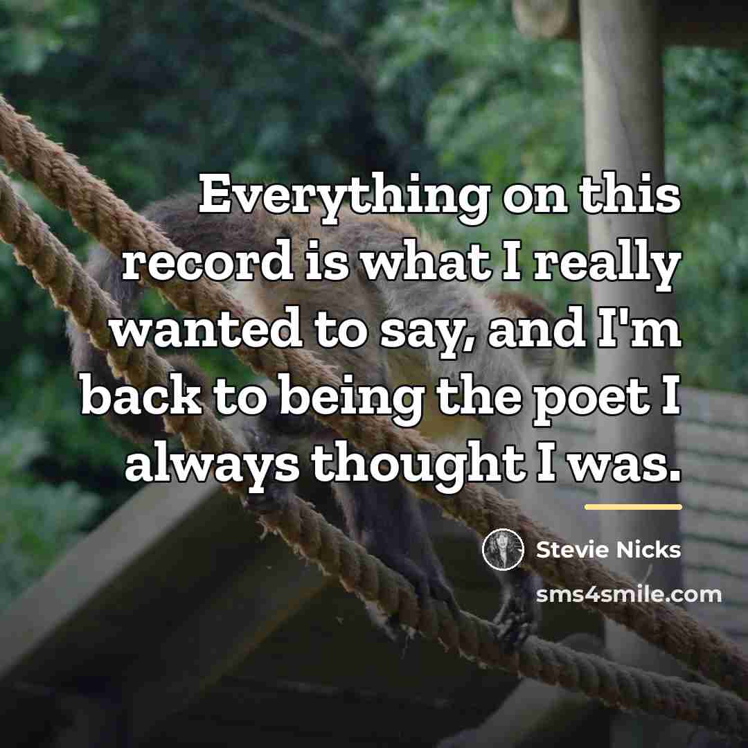 “Everything on this record is what I really wanted to…” quote by Stevie Nicks