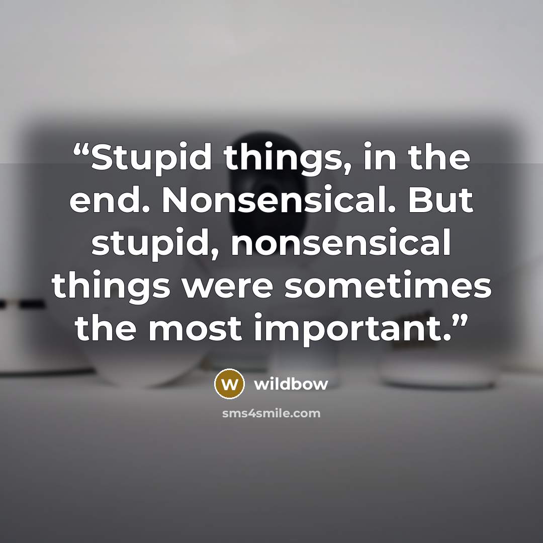 “Stupid things, in the end. Nonsensical. But stupid, nonsensical things were sometimes the most important.” quote by wildbow