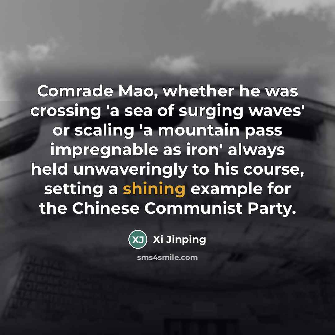 “Comrade Mao, whether he was crossing 'a sea of surging…” quote by Xi Jinping