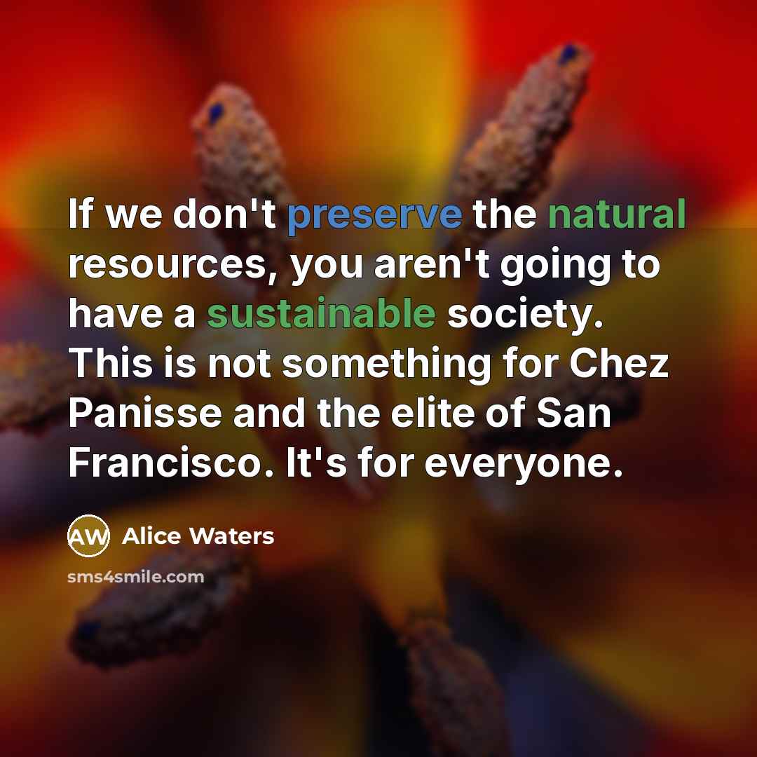 “If we don't preserve the natural resources, you aren't going to have a sustainable society. This is not something for Chez Panisse and the elite of San Francisco. It's for everyone.” quote by Alice Waters