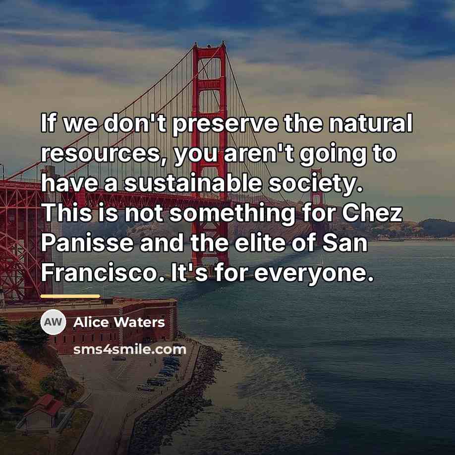 “If we don't preserve the natural resources, you aren't going…” quote by Alice Waters