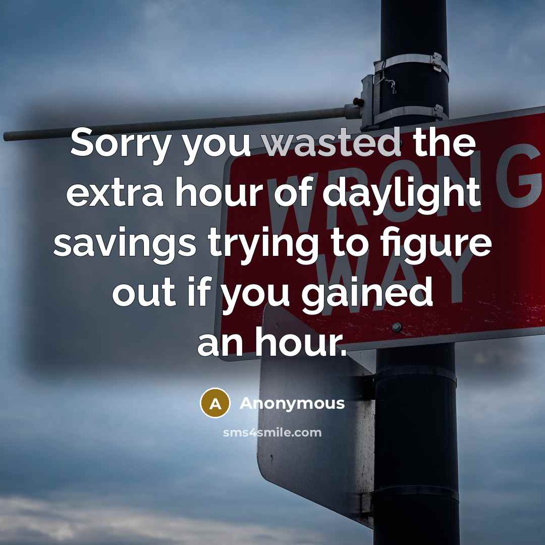 “Sorry you wasted the extra hour of daylight savings trying to figure out if you gained an hour.” quote by Anonymous