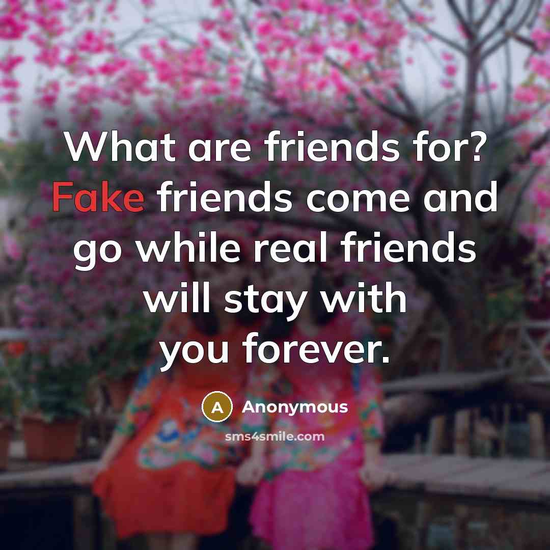 “What are friends for? Fake friends come and go while…” quote by Anonymous