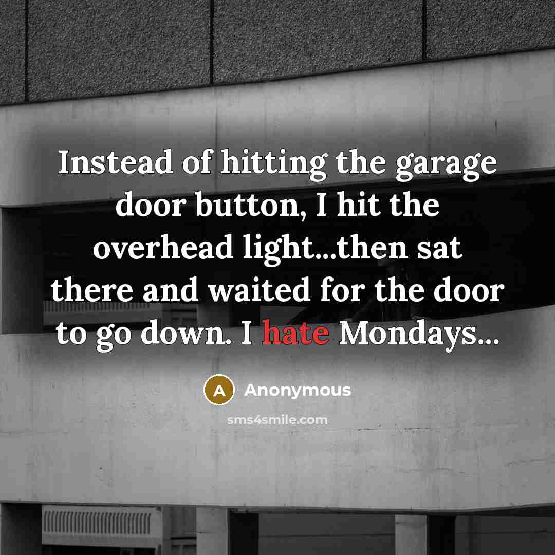 “Instead of hitting the garage door button, I hit the…” quote by Anonymous