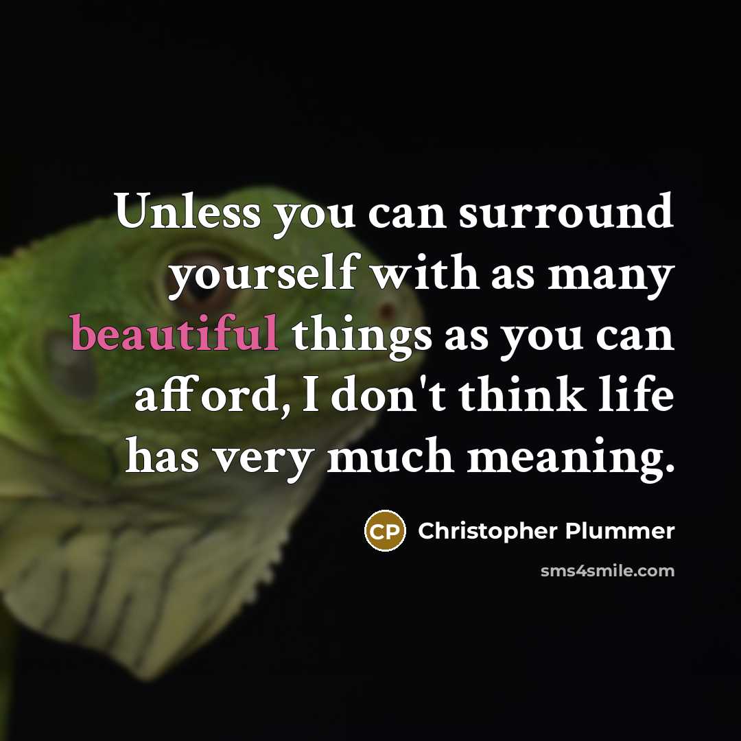 “Unless you can surround yourself with as many beautiful things as you can afford, I don't think life has very much meaning.” quote by Christopher Plummer