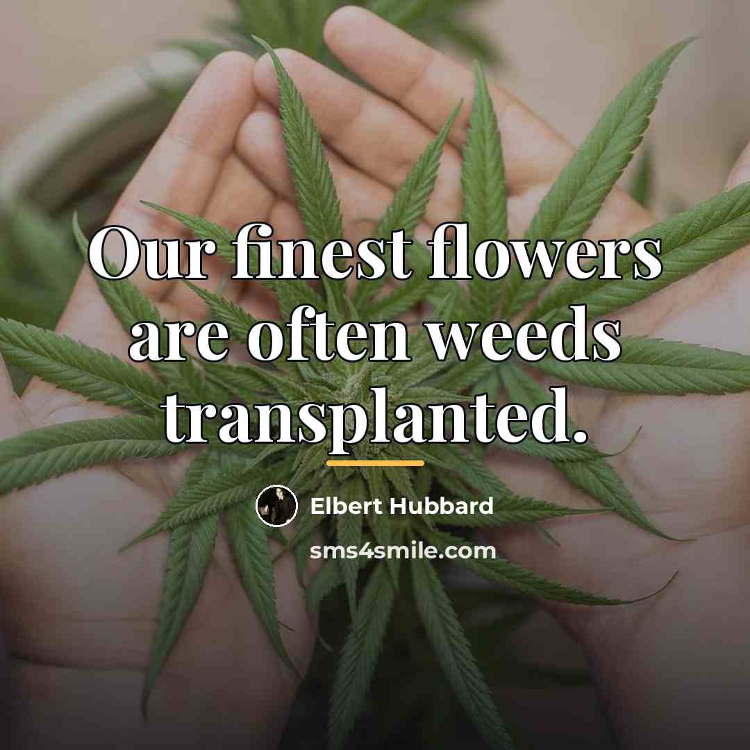 “Our finest flowers are often weeds transplanted.…” quote by Elbert Hubbard