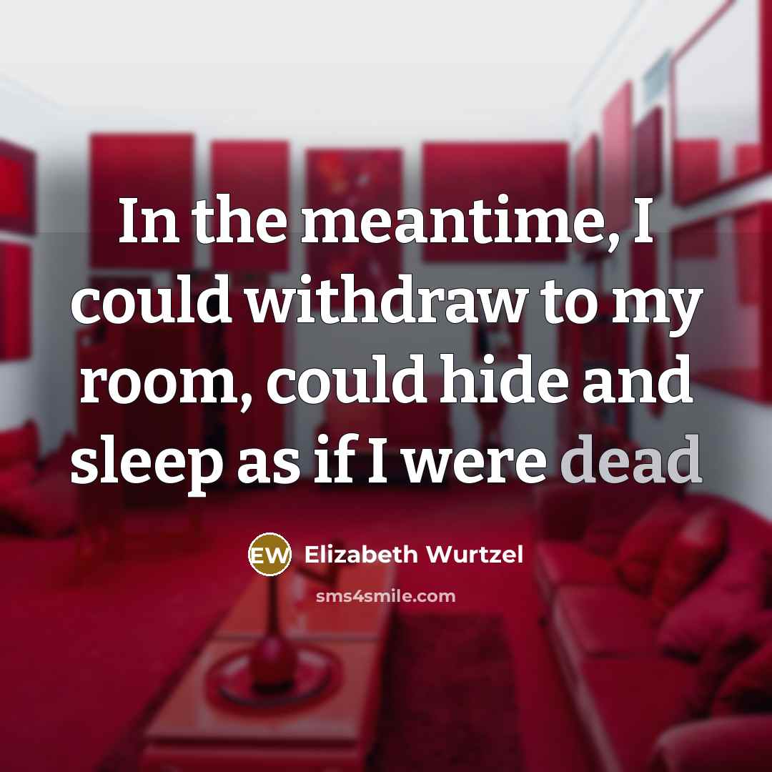 “In the meantime, I could withdraw to my room, could…” quote by Elizabeth Wurtzel