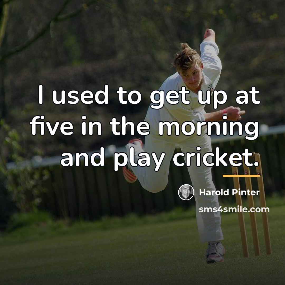“I used to get up at five in the morning…” quote by Harold Pinter