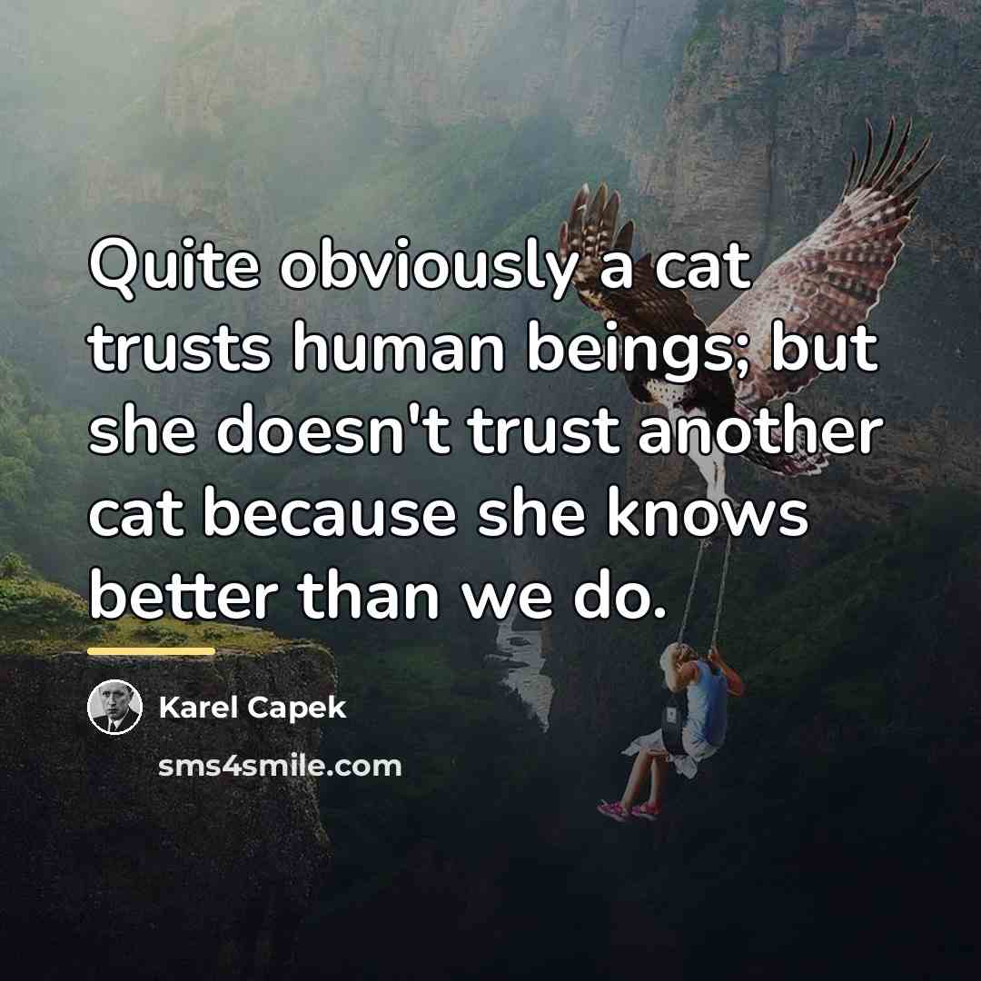 “Quite obviously a cat trusts human beings; but she doesn't…” quote by Karel Capek