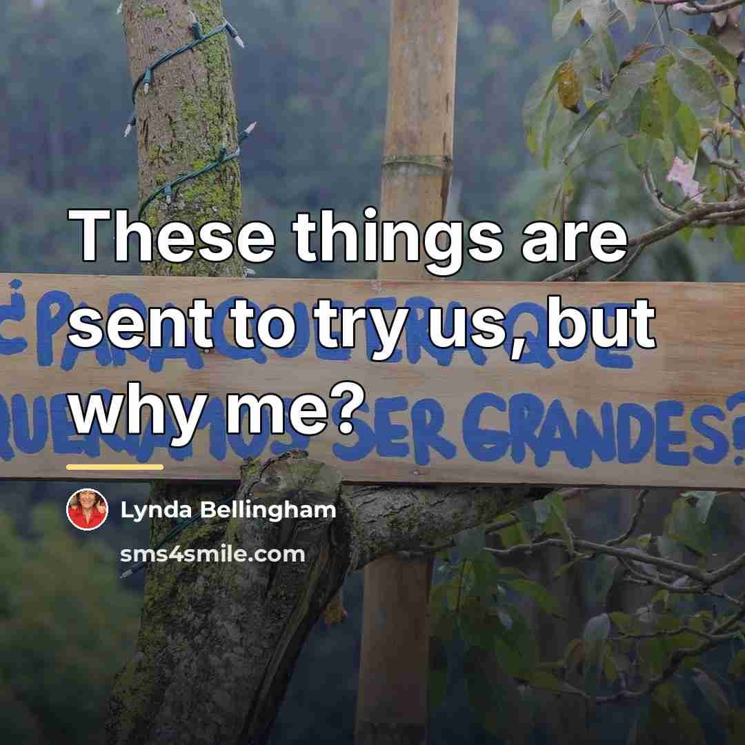 “These things are sent to try us, but why me?…” quote by Lynda Bellingham