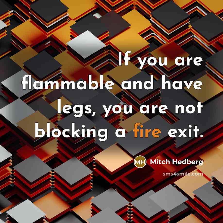 “If you are flammable and have legs, you are not…” quote by Mitch Hedberg