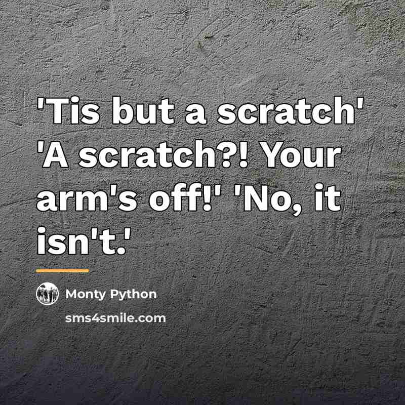 “'Tis but a scratch' 'A scratch?! Your arm's off!' 'No,…” quote by Monty Python