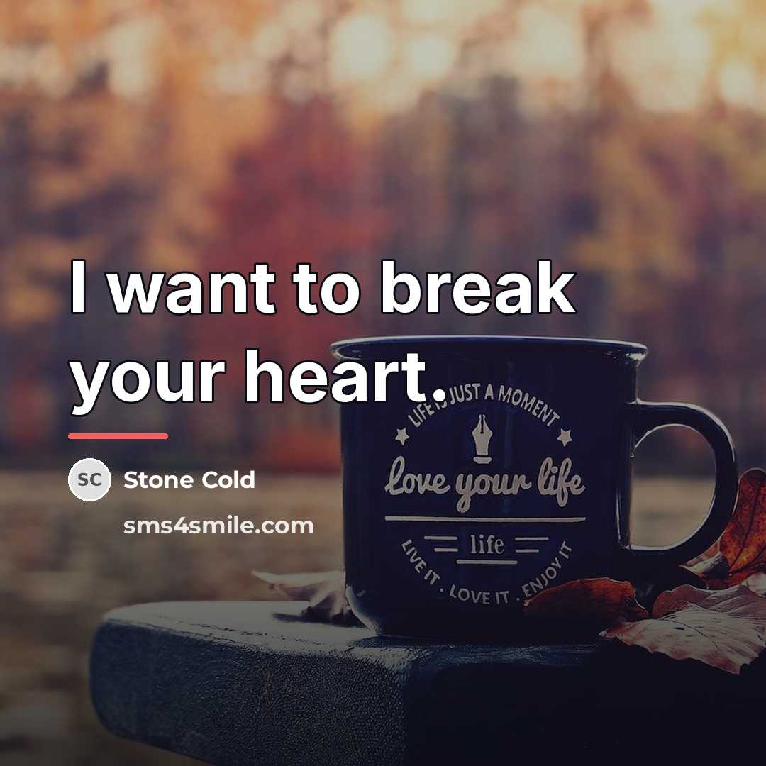 “I want to break your heart.…” quote by Stone Cold