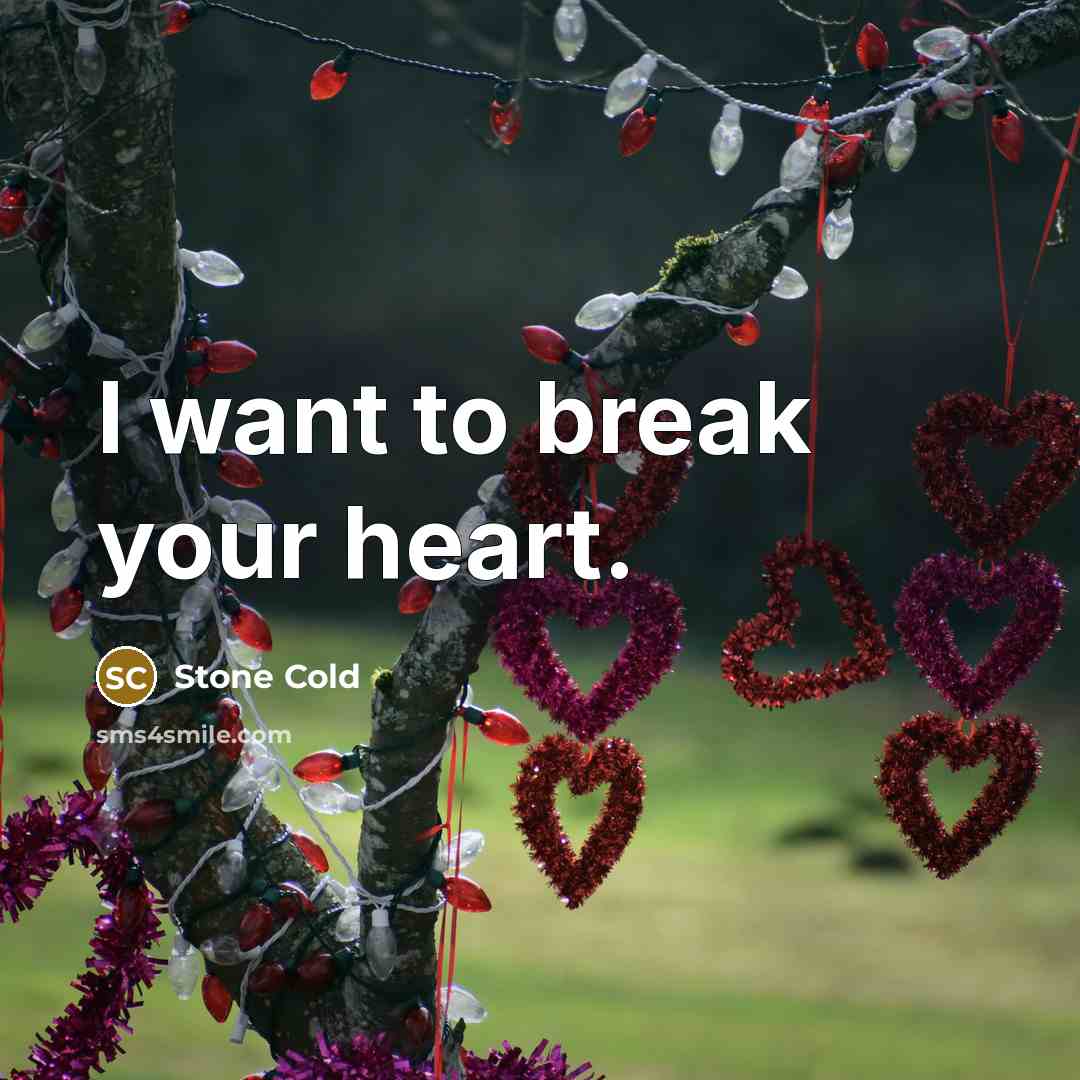 “I want to break your heart.” quote by Stone Cold
