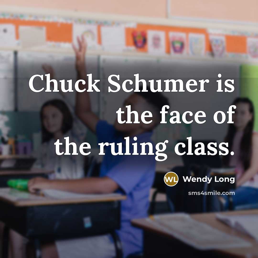“Chuck Schumer is the face of the ruling class.…” quote by Wendy Long