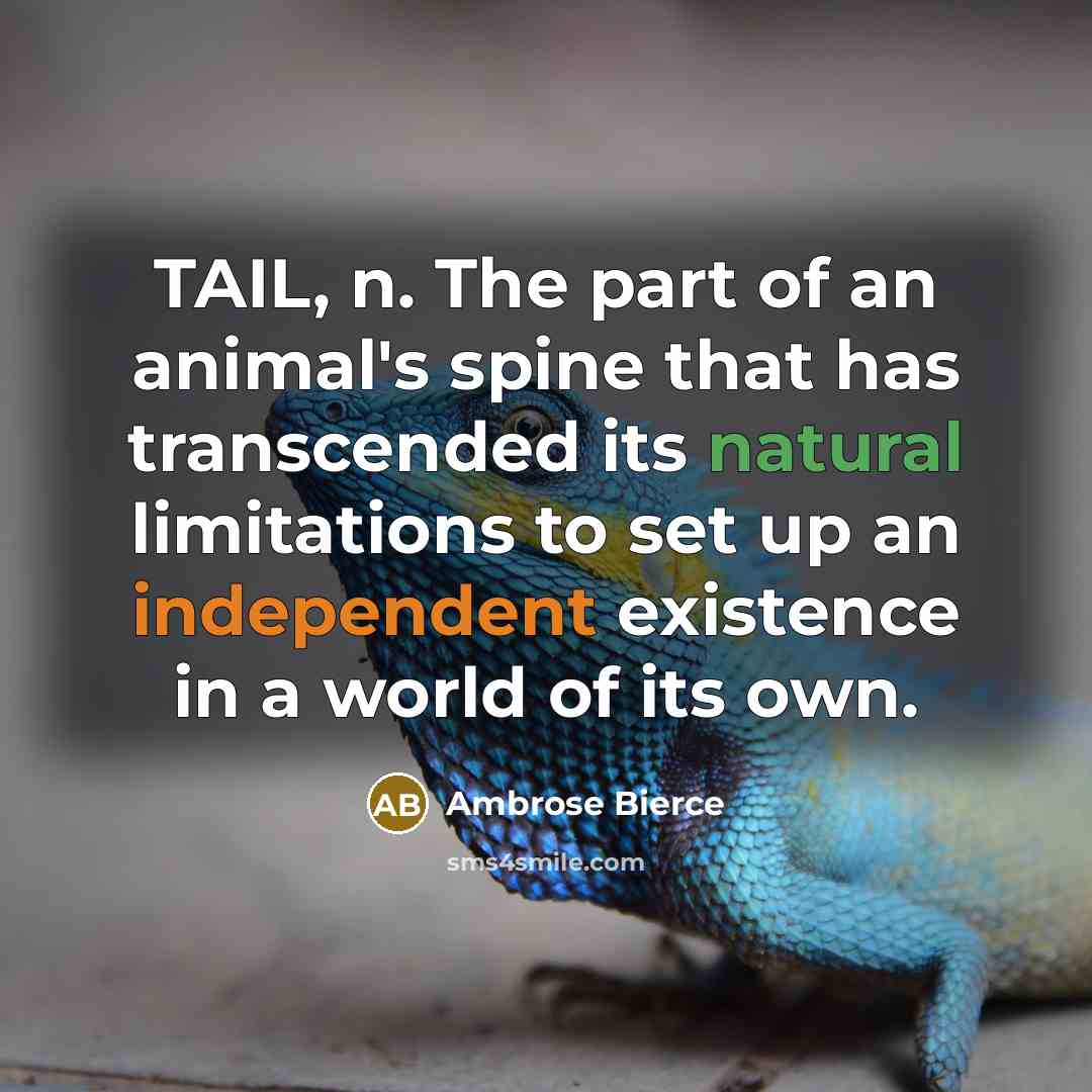 “TAIL, n. The part of an animal's spine that has…” quote by Ambrose Bierce